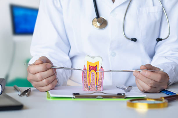 Best Emergency Dental Care for Broken or Chipped Teeth in Lakewood, SC